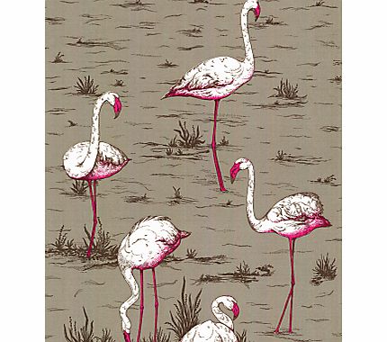 Flamingos Wallpaper