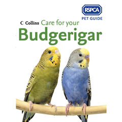 Collins RSPCA Care for Your Budgerigar by RSPCA (Book)