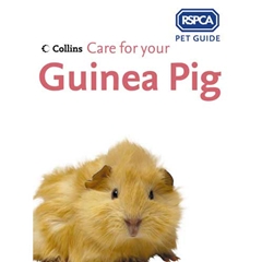 Collins RSPCA Care for Your Guinea Pig by RSPCA (Book)