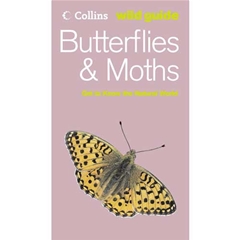 Collins Wild Guide Butterflies and Moths: Wild Guide Book