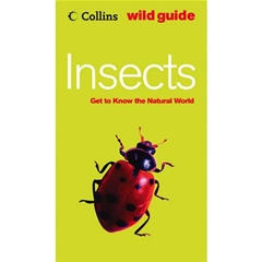 Collins Wild Guide Insects: Wild Guide Book