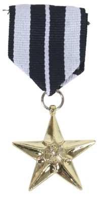 combat Hero Medal
