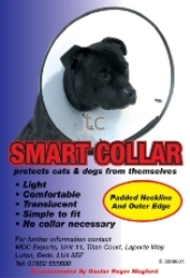 Company of Animals Elizabethan Smart Collar (31-40cm)