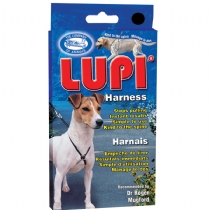 Company Of Animals Lupi Medium