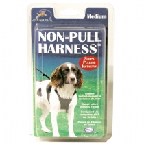 Company Of Animals Non Pull Harness Medium