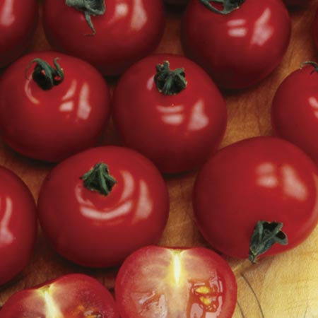 Complete Veg Garden Collection Pack of 135