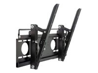 Ergonomics COMPW10A Universal Plasma Mount - mounting