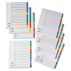 Concord 1-20 Punched Pocket Multicolour Indexes
