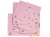 Concord J15 A4 15 part multi coloured plain