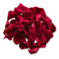 Confetti burgandy rose petals