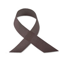 Chocolate 38mm chiffon ribbon 10m