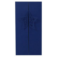 Electric blue star DL outer pk of 10