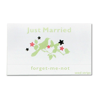Confetti Enchanted garden just married seed strips pk of 10