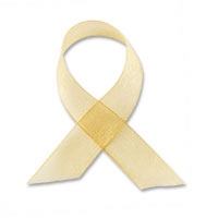 Confetti gold chiffon ribbon - W38mm