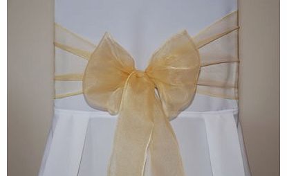 Confetti Heaven Organza Chair Ties Sashes in Gold
