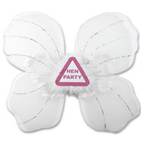 Confetti Hen party fluff and glitter wings