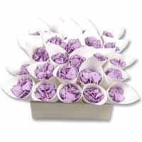 ivory confetti cone box