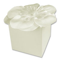 Confetti Ivory flower top create your own favour box pk of 10
