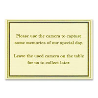 Confetti ivory/gold foil camera cards