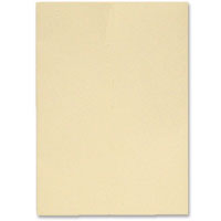 Confetti Ivory insert to fit A6 outer W94 x H140mm. pk of 10