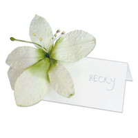 Confetti ivory paper lilies