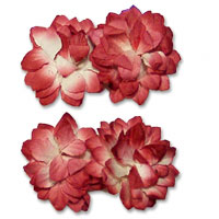 Ivory/red paper flower 8pk