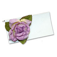 Confetti large lilac open roses