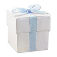 Pale blue ribbon favour boxes - pack of 10