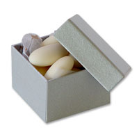 Confetti pearlised silver favour boxes