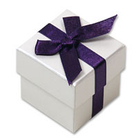 Purple ribbon favour boxes - pk of 10