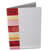 Rose dream order of service pk of 10