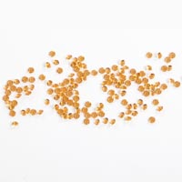 Swarovski orange crystal caviar 3mm jewels (x144)
