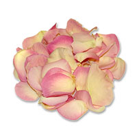 Confetti two tone pink freeze-dried scented petals - 2l