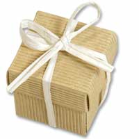 White 5mm rafia ribbon 10m