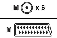 CONNEX SCART TO 6 PHONOS GOLD