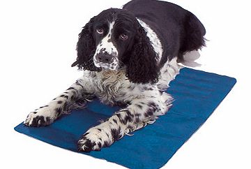 Cool Dog Bed Pad