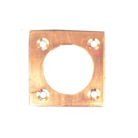 Copper Nest Box Hole Protector