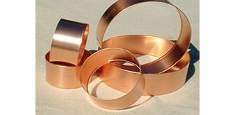 Copper Slug Rings (Small and Large)