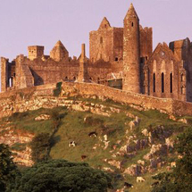 CORK One Day Tour - Adult