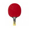 Excell 3000 Carbon PHS Table Tennis Bat
