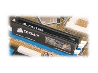 Corsair XMS 1GB XMS2700 2-3-2-5 2x184 Pin DIMM Platinum