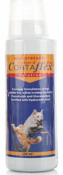 Canine & Feline Solution