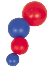 Cosequin Company of Animals Boomer Ball