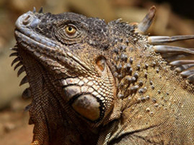 Costa Rica family holiday