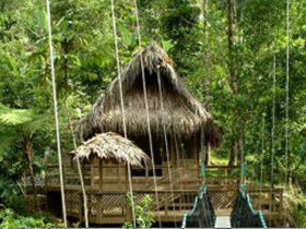 Rica jungle lodge