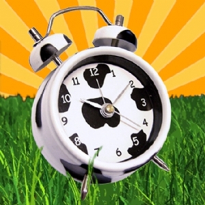 Cow Alarm Clock