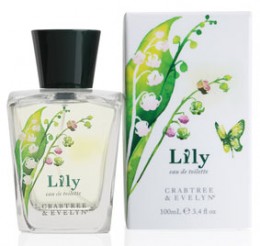 Lily Eau De Toilette 100ml