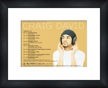 DAVID UK Tour 2001 - Custom Framed Original Ad