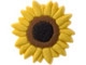 Crocs Jibbitz Sunflower