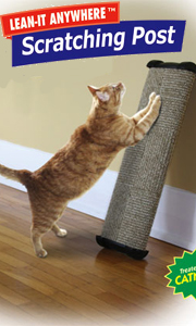 Crystal Clear Omega Paw Lean Anywhere Scratch Post